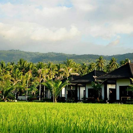 Pandawa Village Lovina Exterior foto