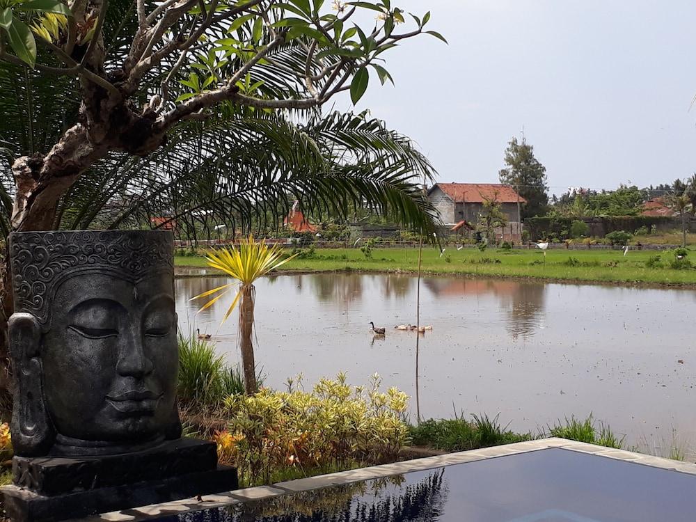 Pandawa Village Lovina Exterior foto