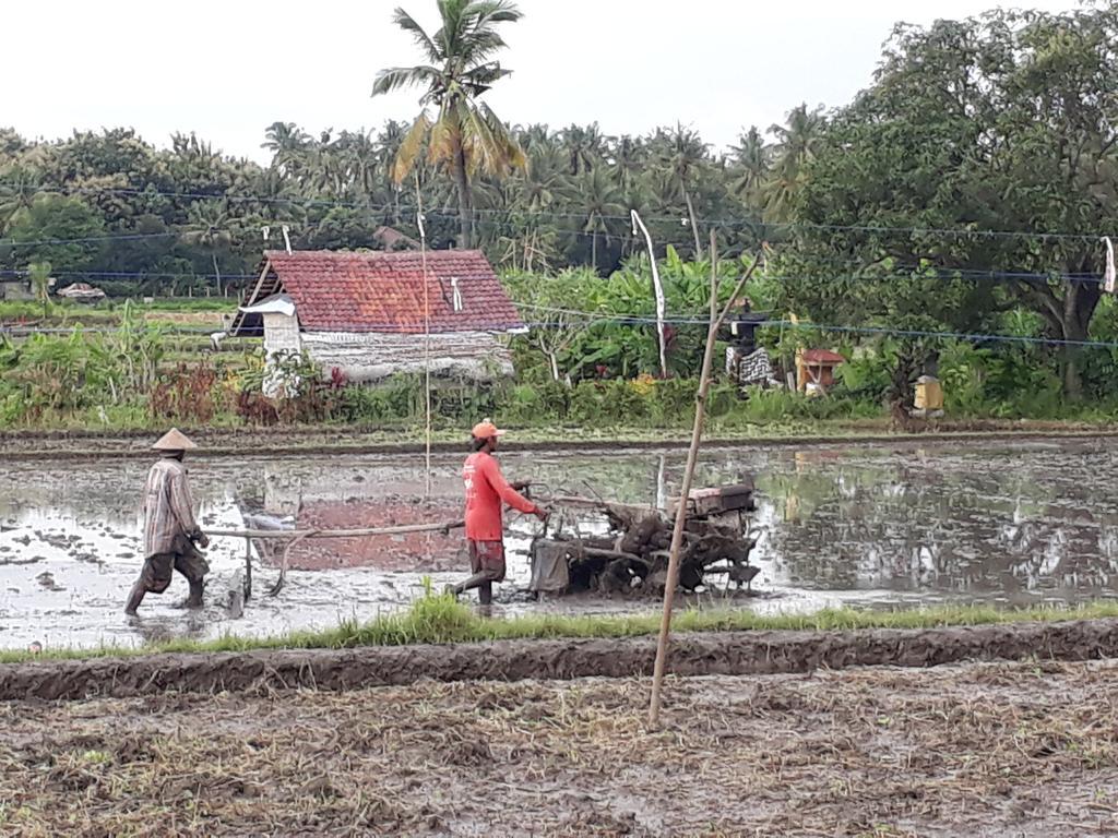 Pandawa Village Lovina Exterior foto