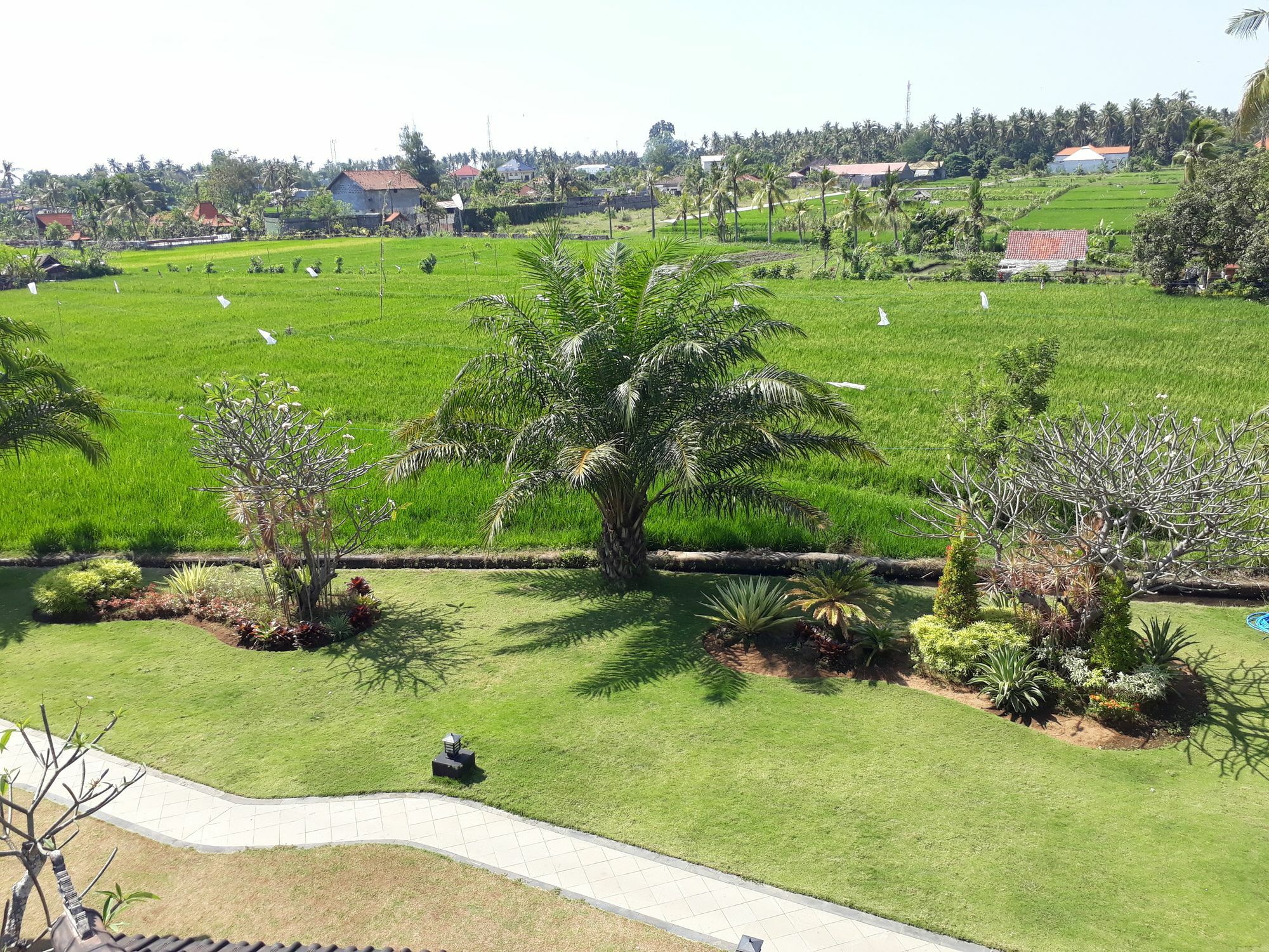 Pandawa Village Lovina Exterior foto