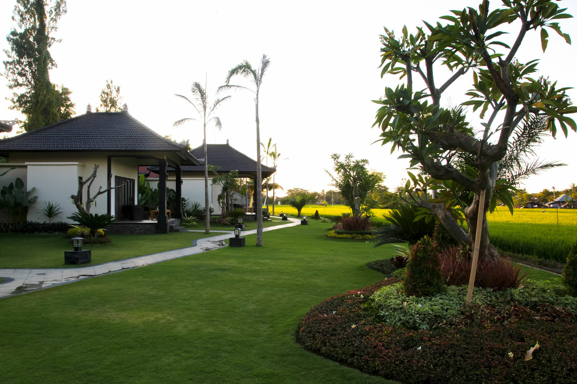 Pandawa Village Lovina Exterior foto