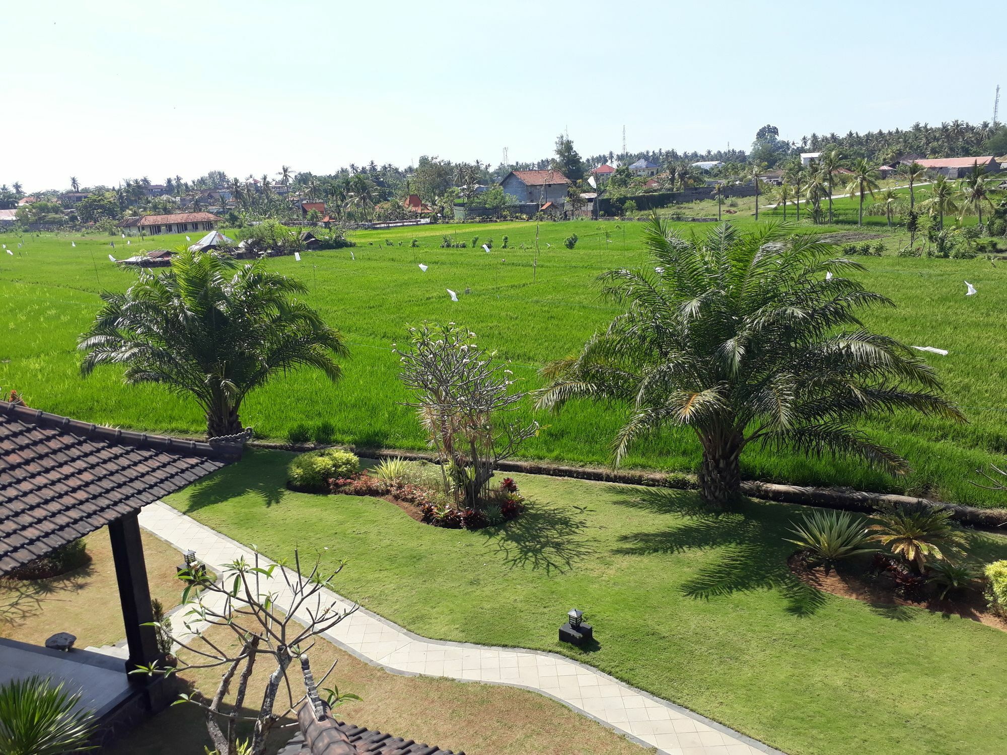 Pandawa Village Lovina Exterior foto
