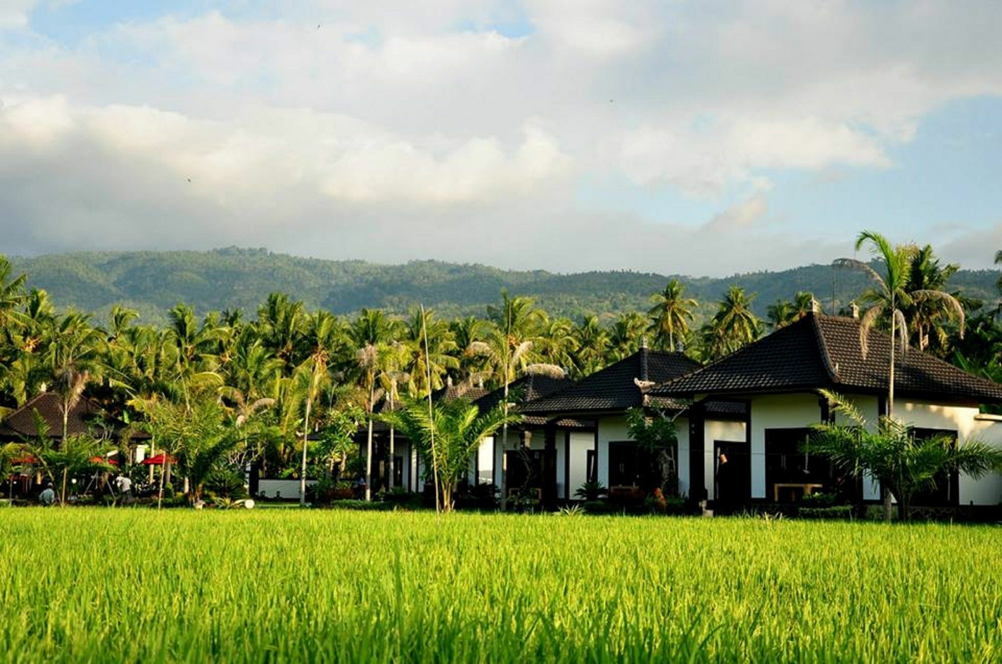 Pandawa Village Lovina Exterior foto