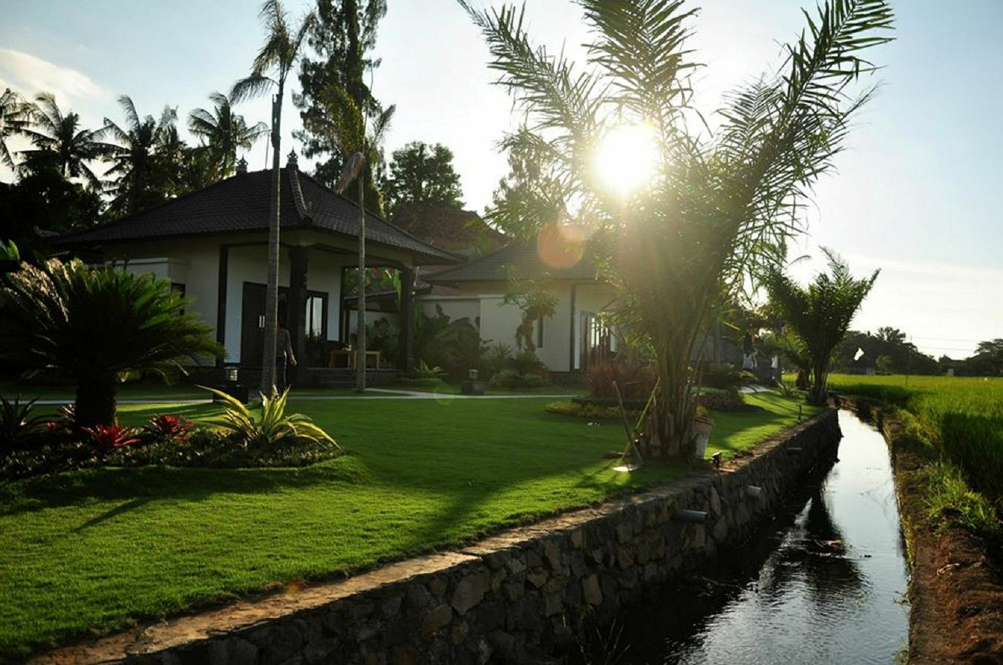 Pandawa Village Lovina Exterior foto