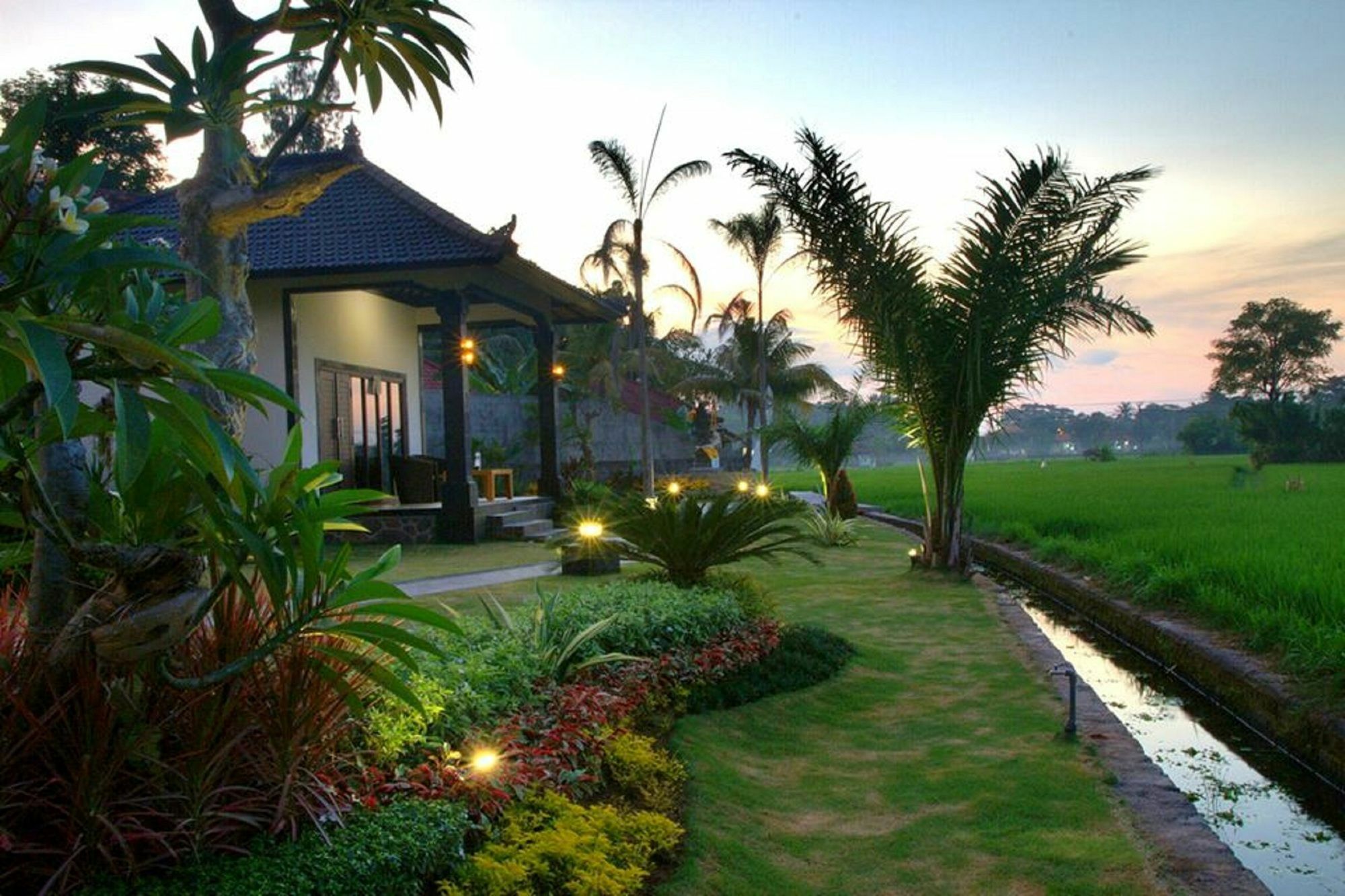 Pandawa Village Lovina Exterior foto